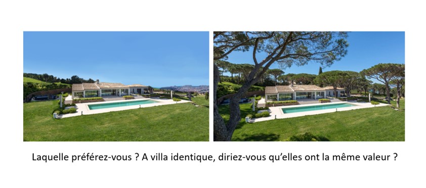 Villa avec et sans patrimoine arboré