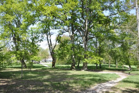 Photo d'un parc aménagé dans la ville du Haillan. On peut y voir une allée et divers arbres.