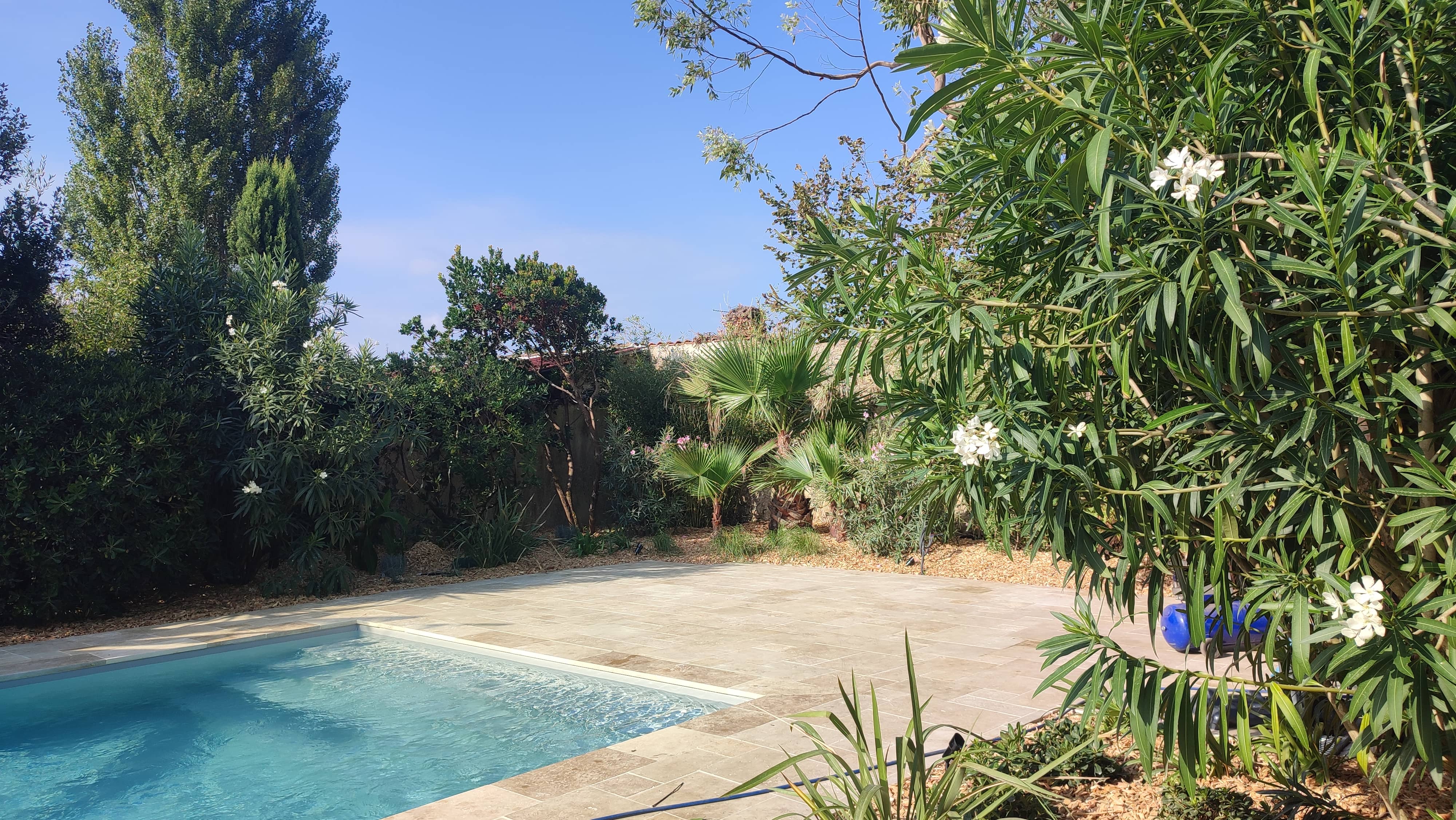 aménagement de jardin avec piscine et terrasse, réalisé par notre paysagiste à Eysines 