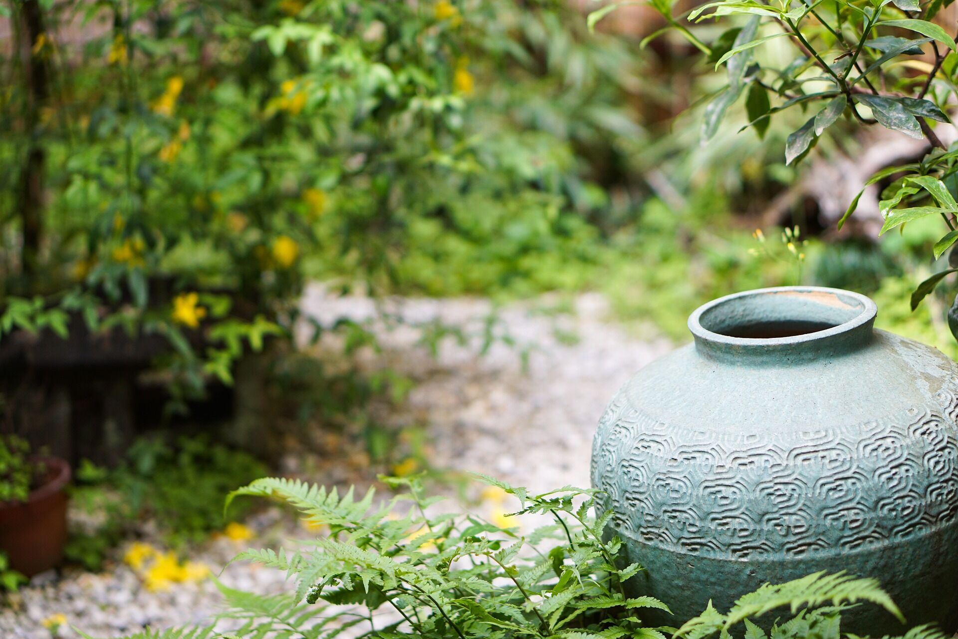 Aménagement et Plantes pour un Jardin Zen / Jardin Japonais réussi ! -  Apprendre à jardiner