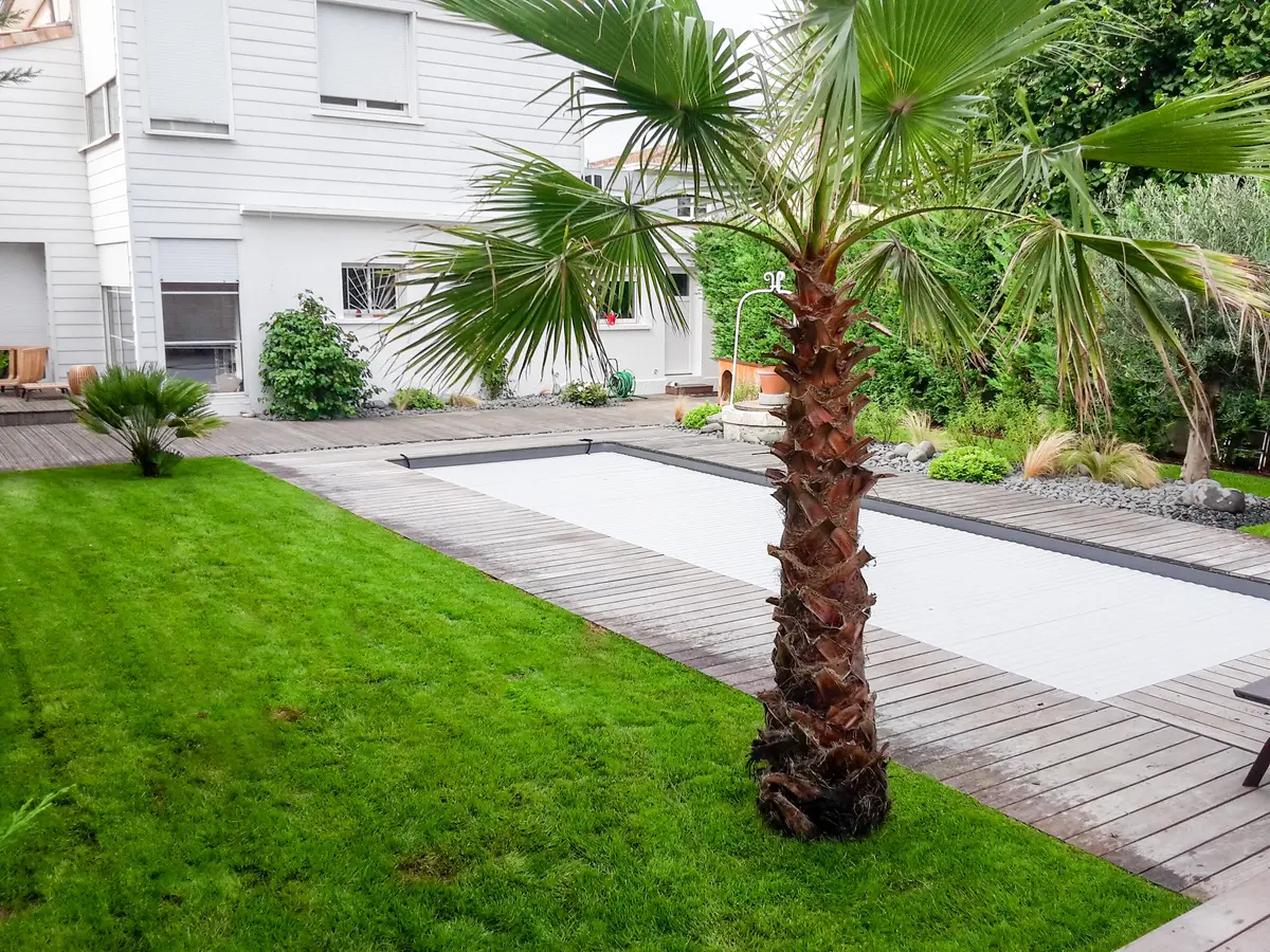Photo d'un aménagement de jardin avec piscine. On peut y voir un palmier en premier plan. 