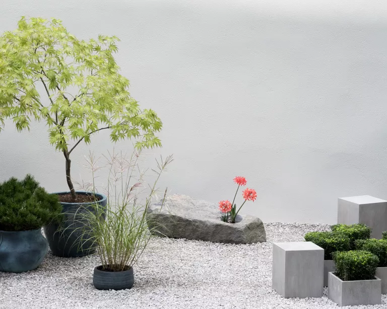 Jardin minéral et minimaliste réalisé par Mika Masawa