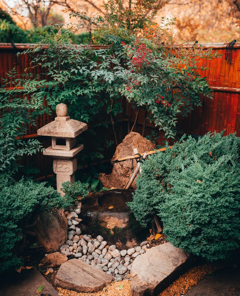 Jardin japonais designé avec une fontaine et un point d'eau, divers végétaux, un passage en pas japonais et de la mousse. 
