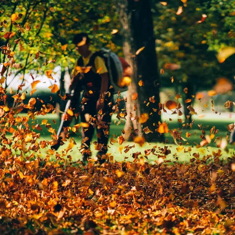 Photo d'un jardinier qui entretien les espaces verts en soufflant et en ramassant les feuilles mortes.