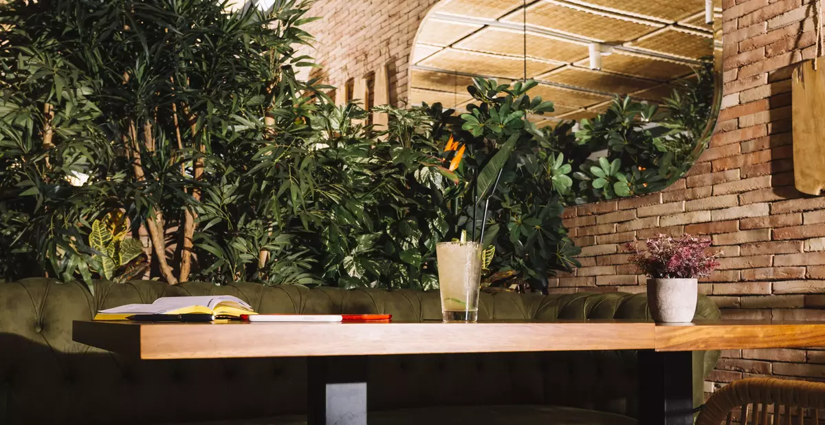 Photo d'un restaurant utilisant des jardinières et des plantes pour délimiter des espaces et créer de l'intimité pour leurs clients