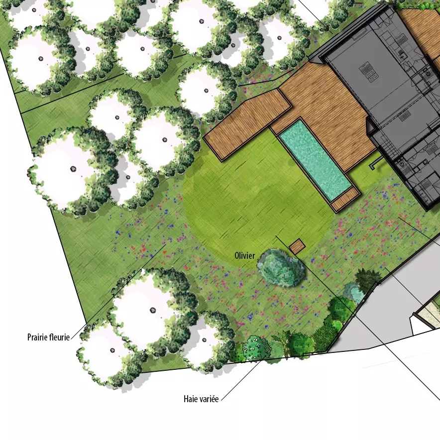 Plan d'aménagement d'un jardin naturel en pente avec intégration de piscine et terrasse bois 