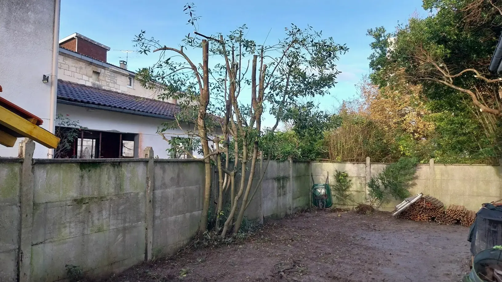 Photo du coin non aménagé du jardin à Saint Médard en Jalles