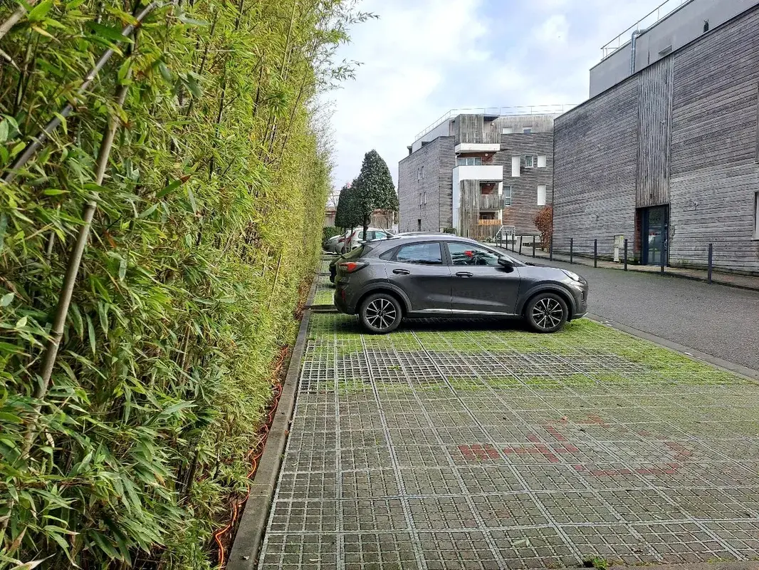 Espace parking entretenu par nos jardiniers à Saint Médard en jalles