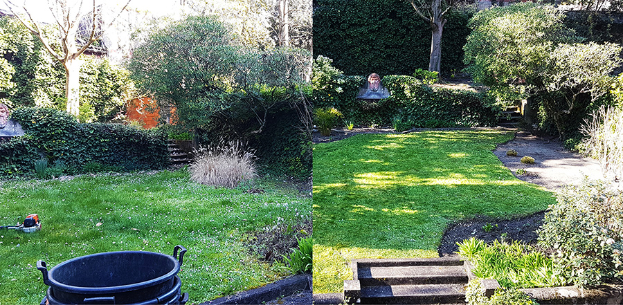 Pourquoi faire appel à un paysagiste pour l’entretien de votre jardin paysager ? 