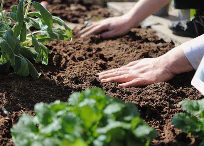 Conseils pour un entretien de Jardin russi au printemps - Jardinier Bordeaux