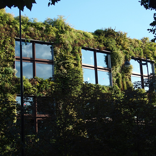 Photo d'un bâtiment dont les murs sont entièrement végétalisés