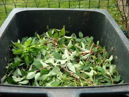 1- Gardez vos déchets verts