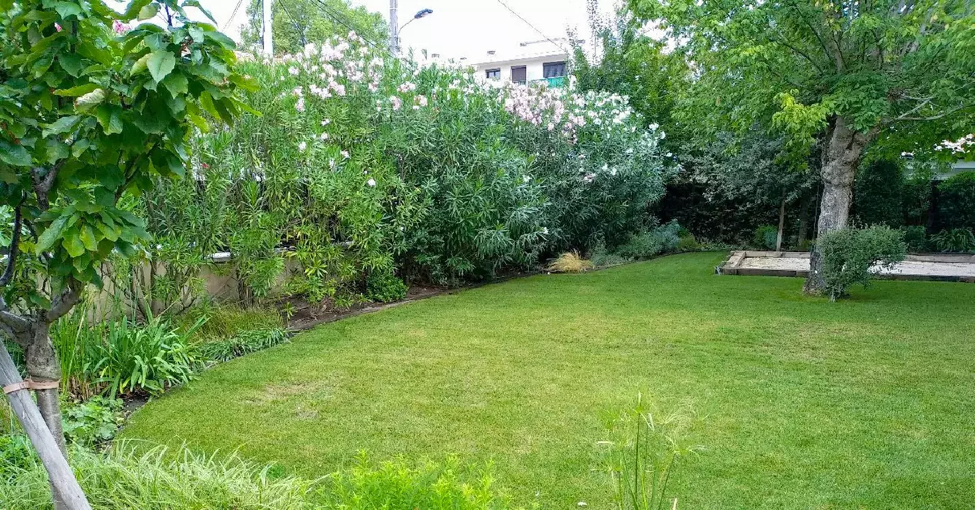 jardin alle et espace ptanque 