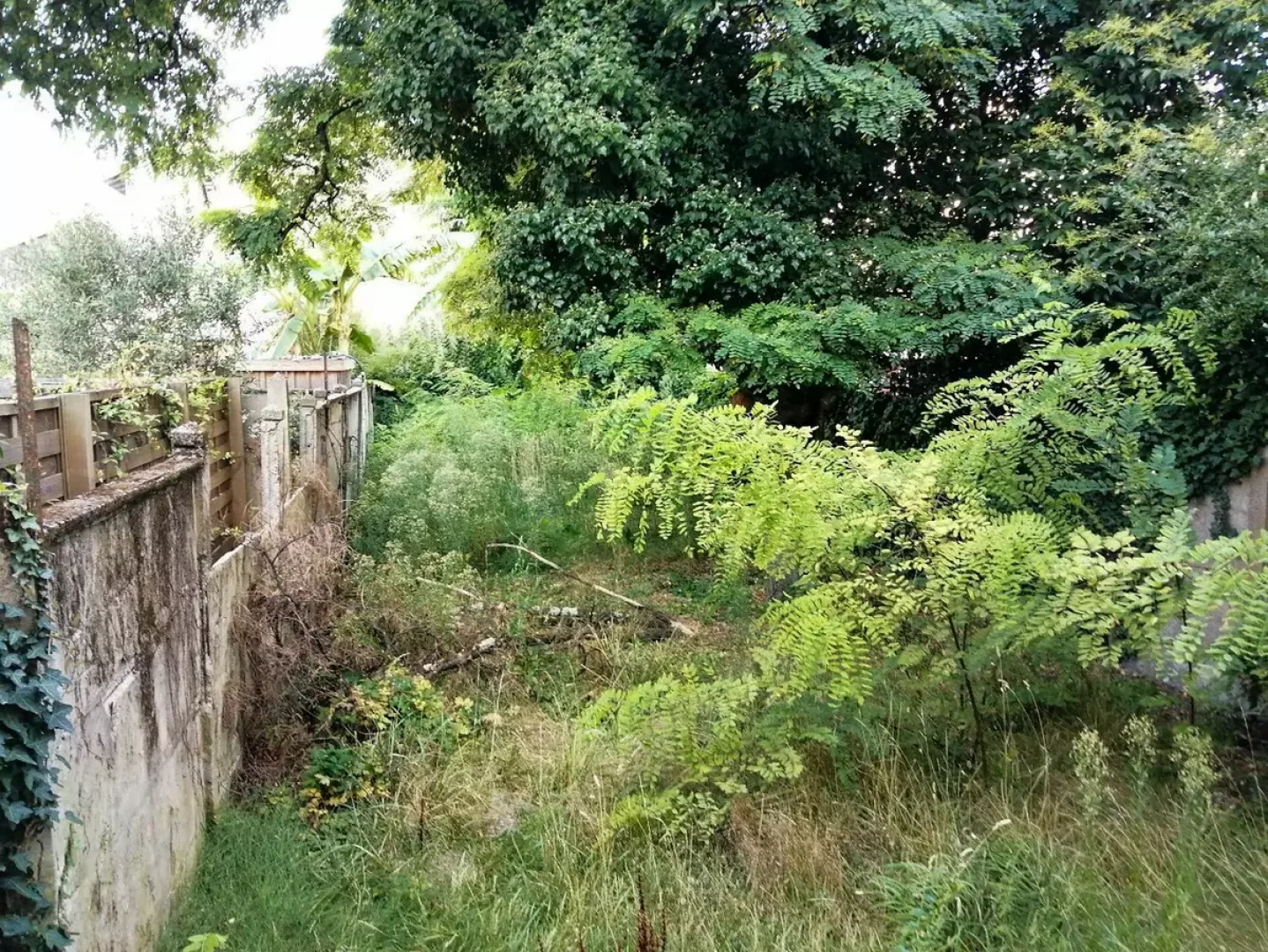 Remise en tat de jardin