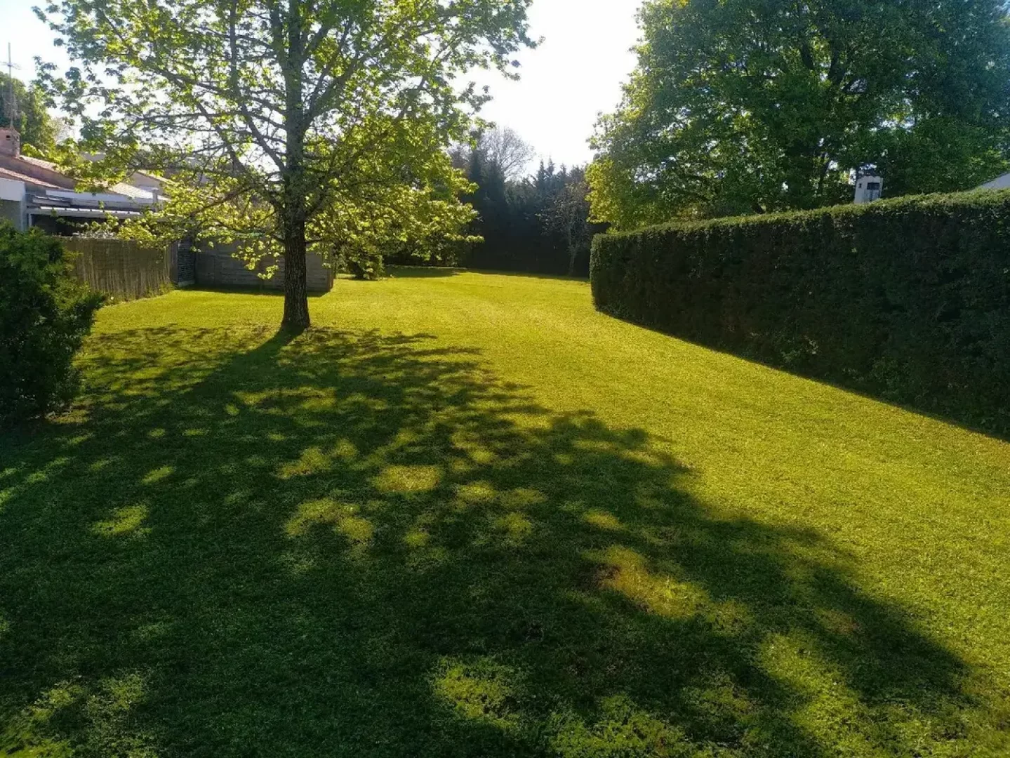 Entretien de jardin Mrignac