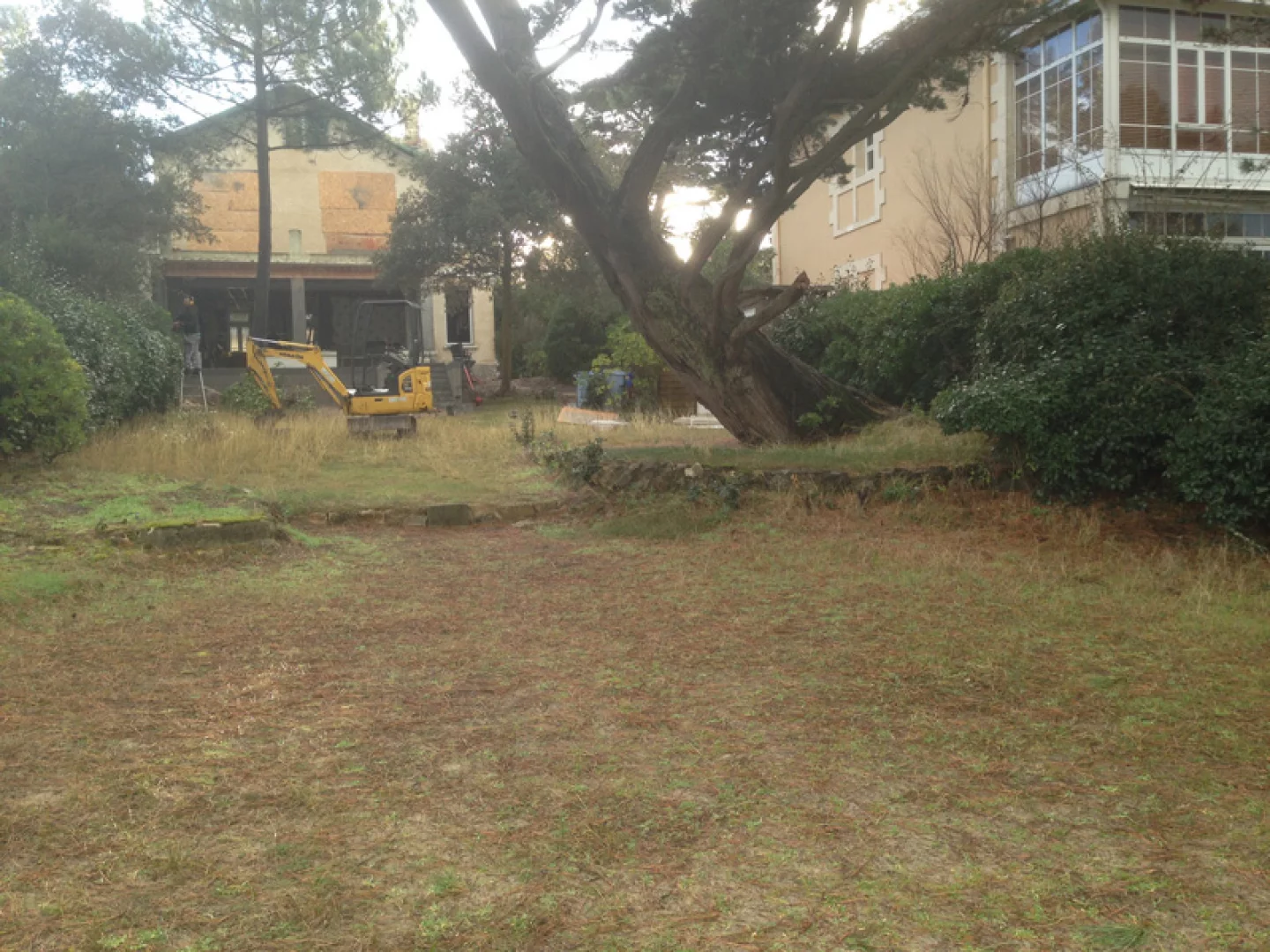 Amnagement d'un jardin en Bord de mer - Arcachon