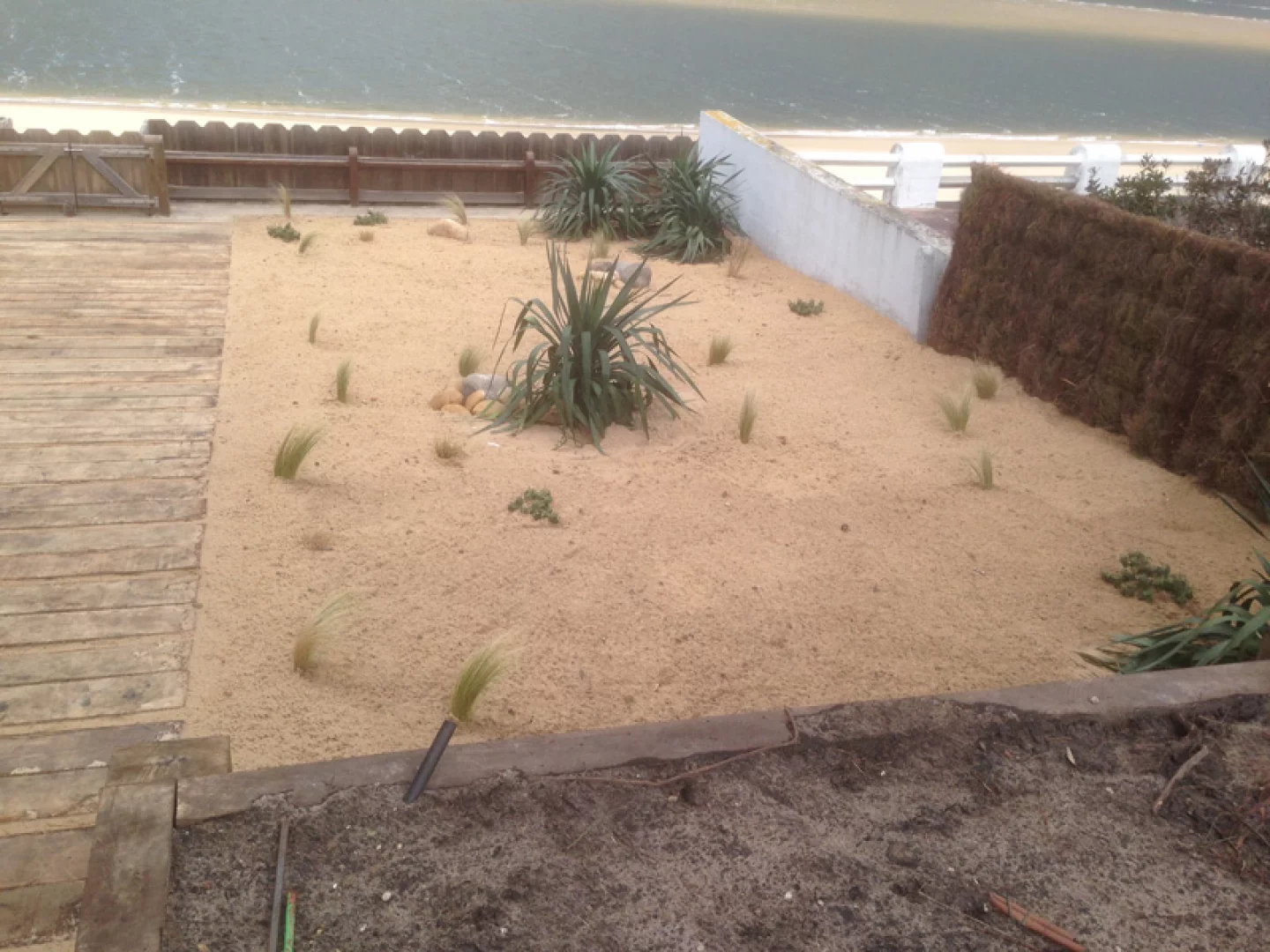 Amnagement d'un jardin en Bord de mer - Arcachon