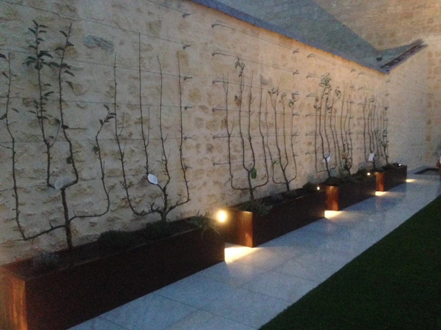 Végétalisation d'un patio-terrasse hotel particulier (Bordeaux centre)