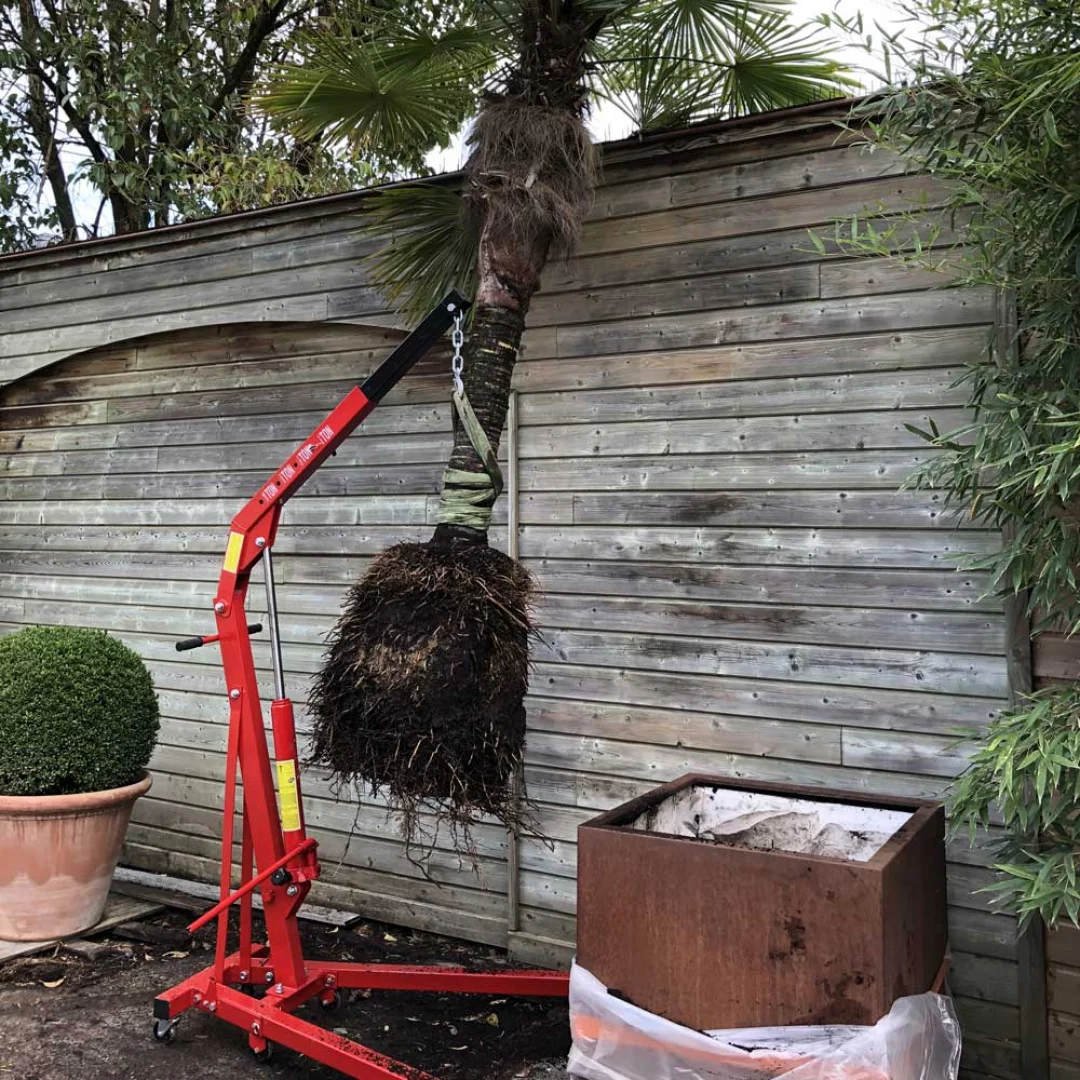 Terrasse Ip avec margelles sur mesure - Paysagiste Bordeaux