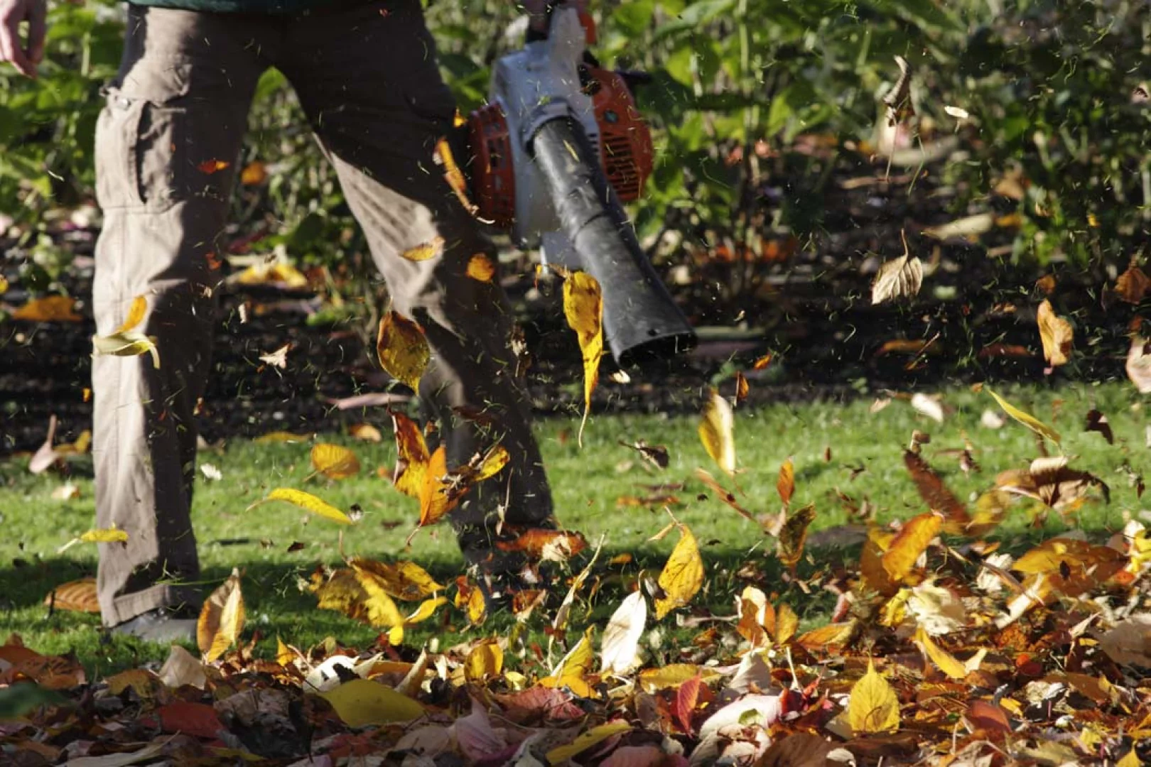 Entretien de jardins