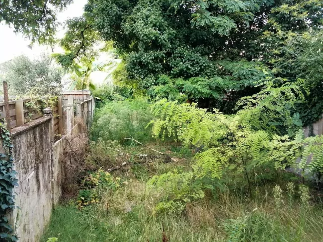 Remise en tat d'un petit jardin